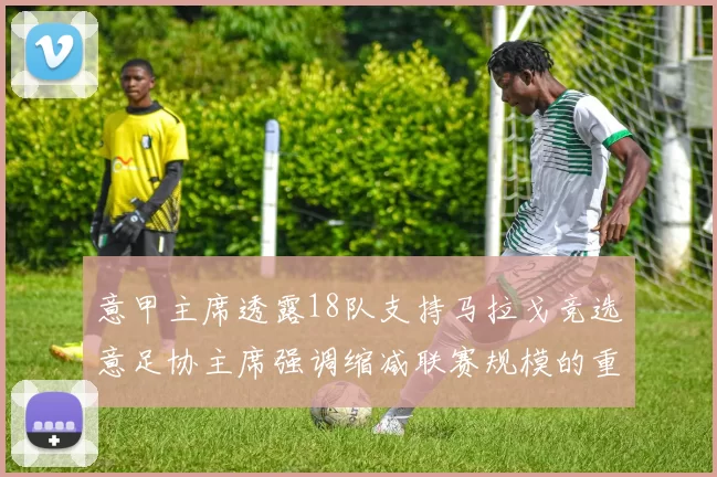意甲主席透露18队支持马拉戈竞选意足协主席强调缩减联赛规模的重要性